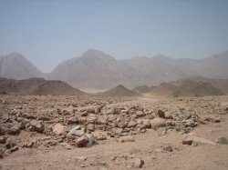 Anti-Science: Desert. Will anti-science destroy civilization?